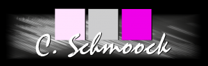 Logo Schmoock Design
